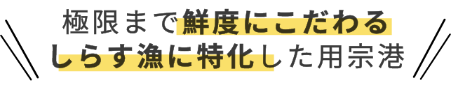 極限まで鮮度にこだわるしらす漁に特化した用宗港