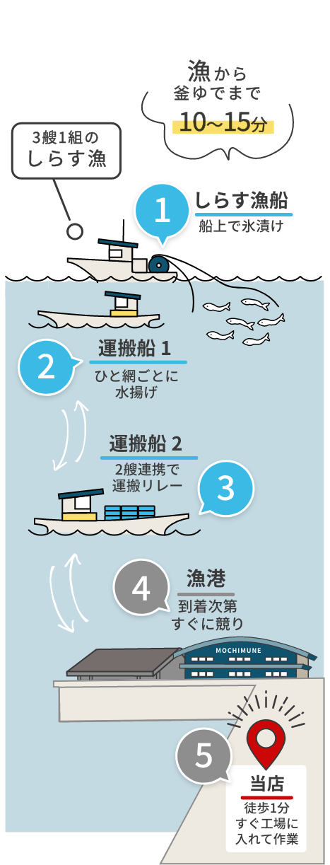 ①しらす漁船・船上で氷漬け ②運搬船１・ひと網ごとに水揚げ ③運搬船２・２艘連携で運搬リレー ④漁港・到着次第すぐに競り ⑤当店・徒歩1分、仕入れ後すぐ工場に入れて作業