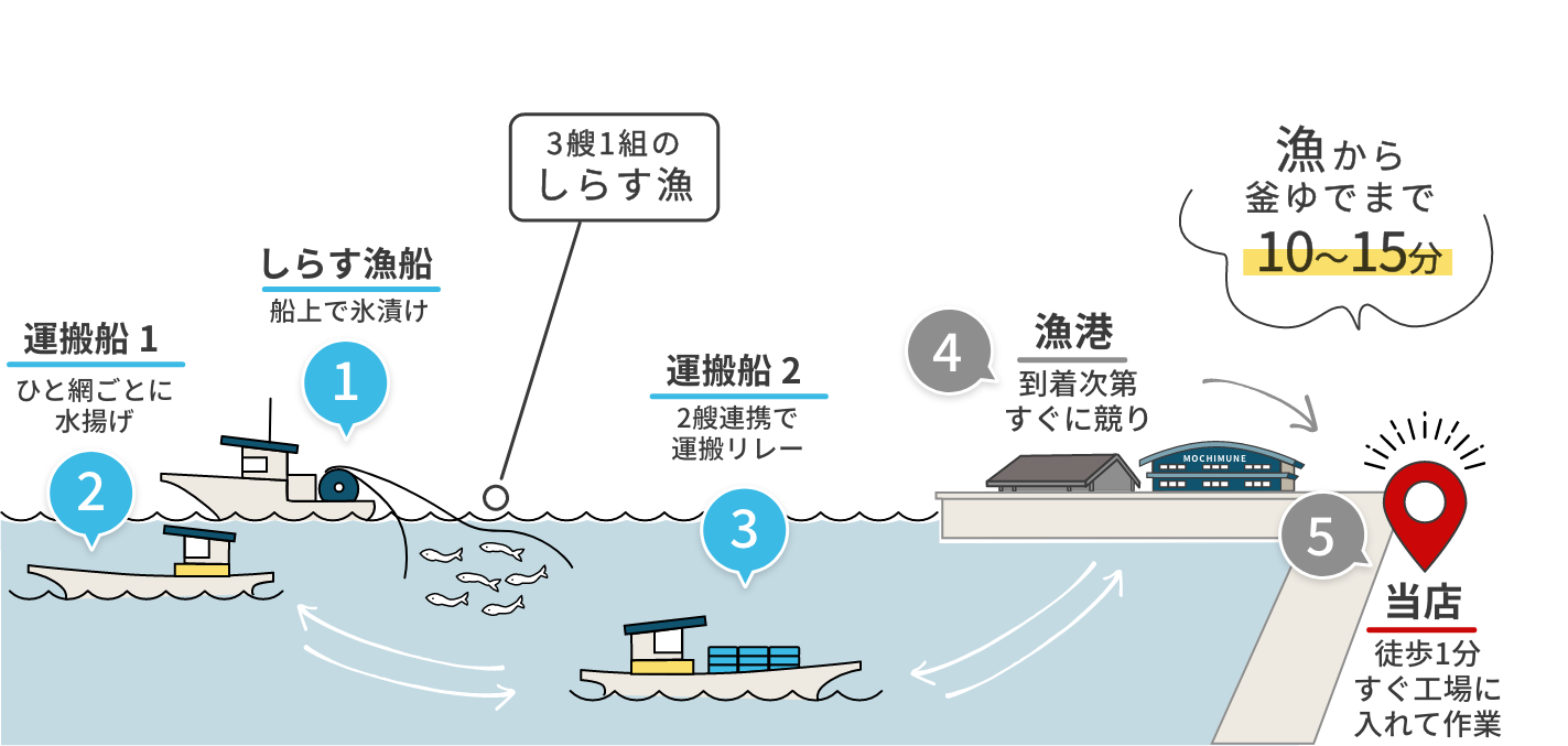 ①しらす漁船・船上で氷漬け ②運搬船１・ひと網ごとに水揚げ ③運搬船２・２艘連携で運搬リレー ④漁港・到着次第すぐに競り ⑤当店・徒歩1分、仕入れ後すぐ工場に入れて作業