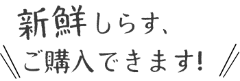 直売所案内｜新鮮しらす、ご購入できます！