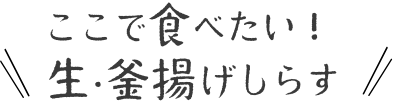 どんぶりたいりょうまる｜ここで食べたい！生・釜揚げしらす