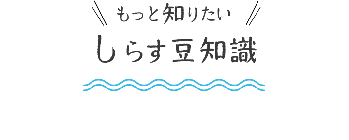 オンラインストア｜新鮮しらすをとれたて発送！